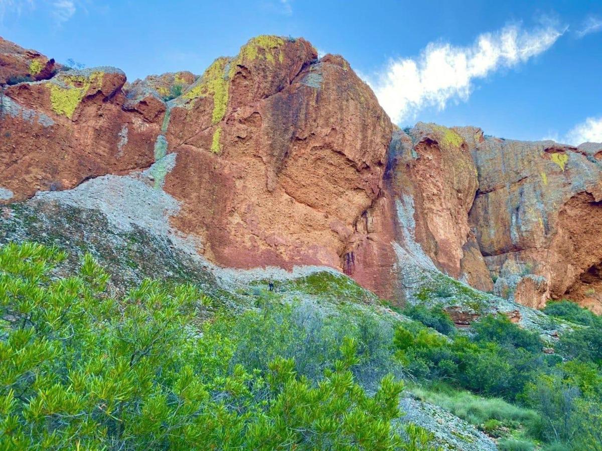 דירות Buffelskloof Red Mountain Ridge Karoo Oasis And Guest Farm מראה חיצוני תמונה